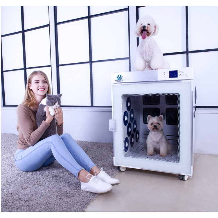 Pet drying machine