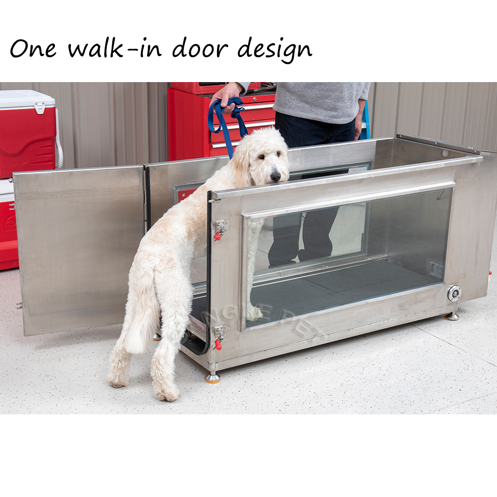 Hot Sale Dog Treadmill Walking Machine Pet Treadmill For Dogs