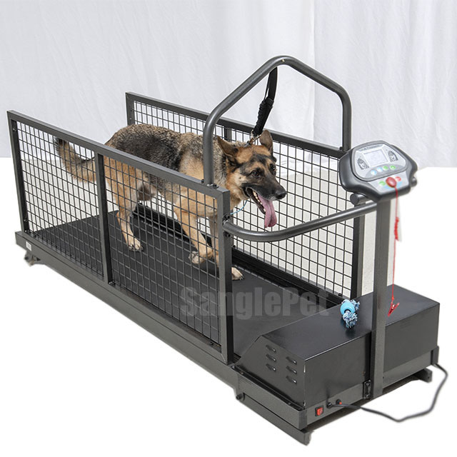 Dog Runner Treadmill from China factory-0.jpg