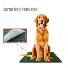 Best Large Dog Potty Pad