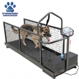 Canine Land LiftingTreadmill